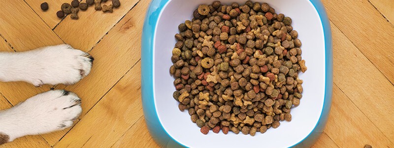 Delicious, fully nutritious dog food