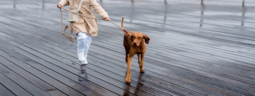 High-quality, comfortable cross-border pet leash