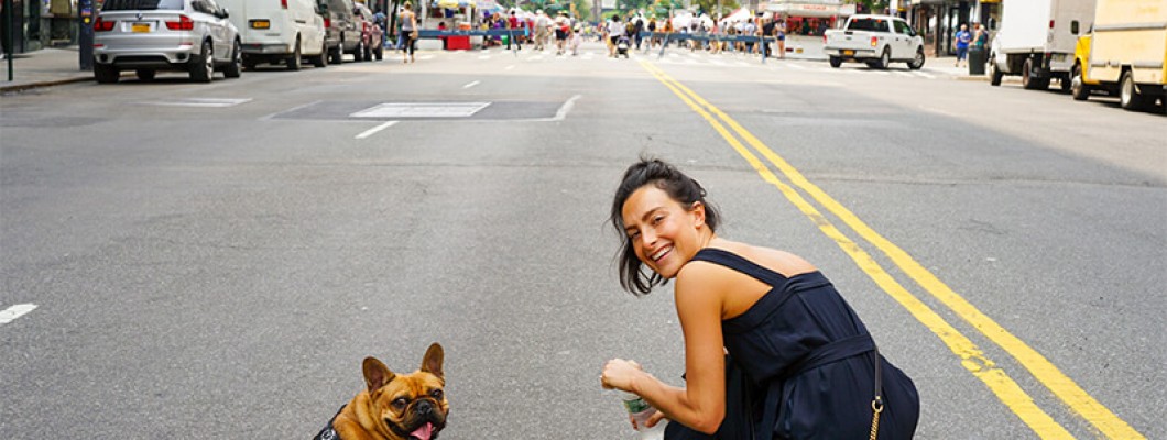A Guide to Choosing the Perfect Dog Leash A Guide to Choosing the Perfect Dog Leash