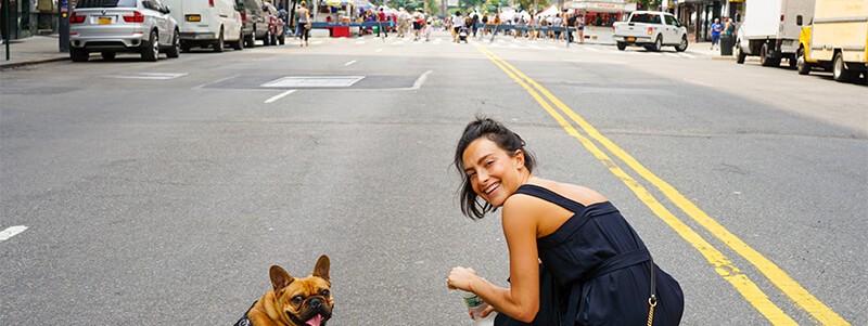 A Guide to Choosing the Perfect Dog Leash