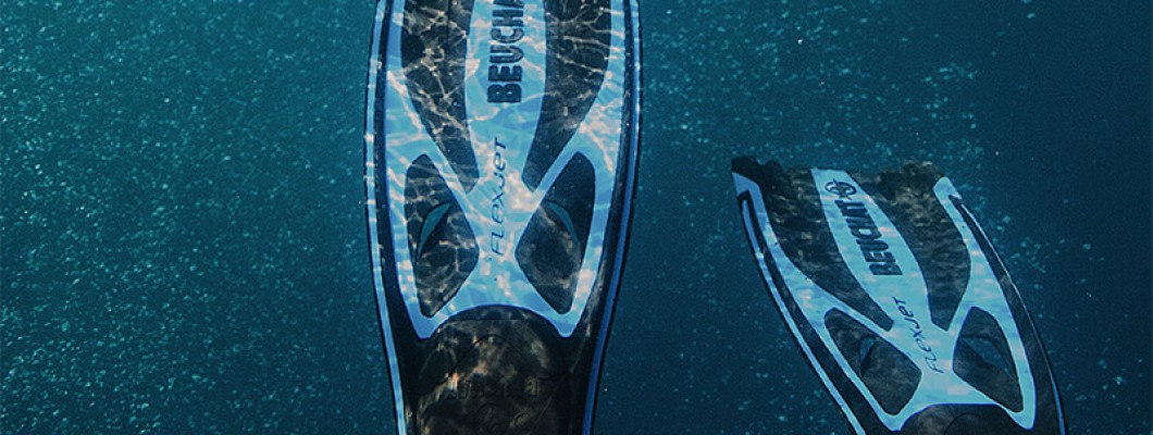 Flippers Swimming: A Guide to Efficient and Effective Swimming Techniques Flippers Swimming: A Guide to Efficient and Effective Swimming Techniques