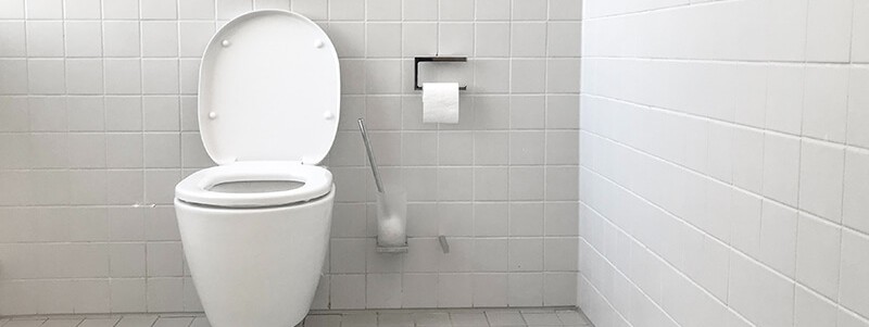 Upgrade Your Bathroom with a Toilet Seat Cover