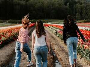 Taobao Women's Straight-Leg Jeans Procurement Service