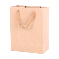 Sac En Papier Cadeau