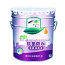 Environmentally Friendly Interior Wall Paint