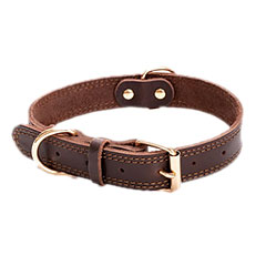 Halsband-erkennungsmarke