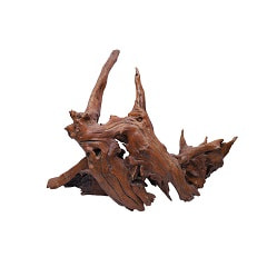 Wood Carving/root Carving