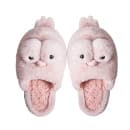 Cartoon Slippers