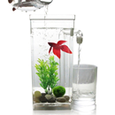 Fish Tank Aquarium