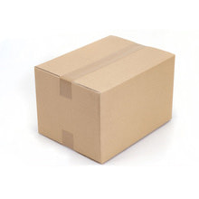 Sf Specification Carton