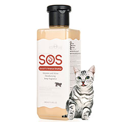 Shampoo And Body Wash