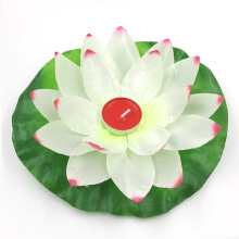 Lotus lamp / lanterns