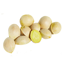 Ginkgo/Ginkgo