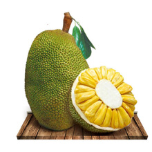 jackfruit