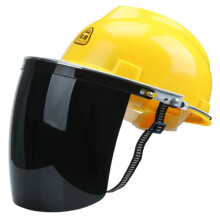 protective mask