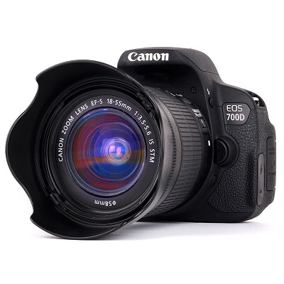 Professional DSLR